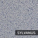 Sylvanus